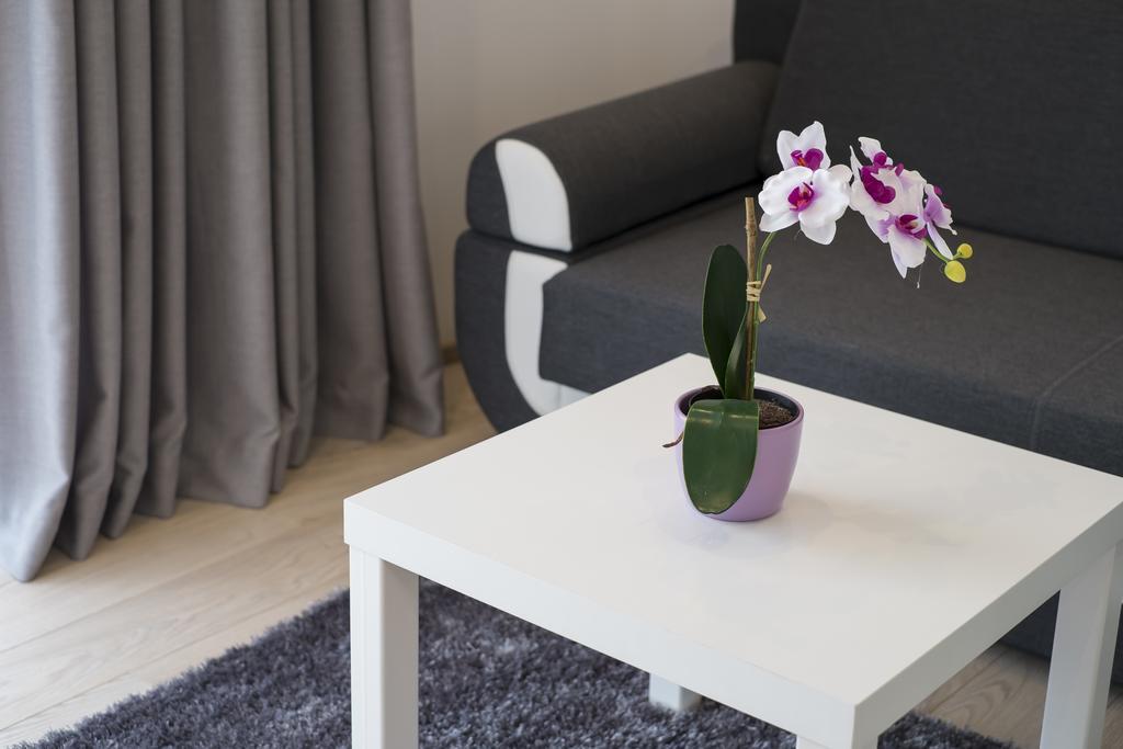Apartamenty Comfort & Spa Stara Polana Vipapartamenty Zakopane Exterior foto
